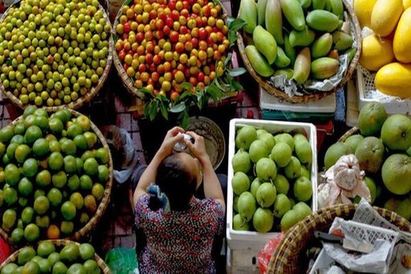 提高越南农产品的标准