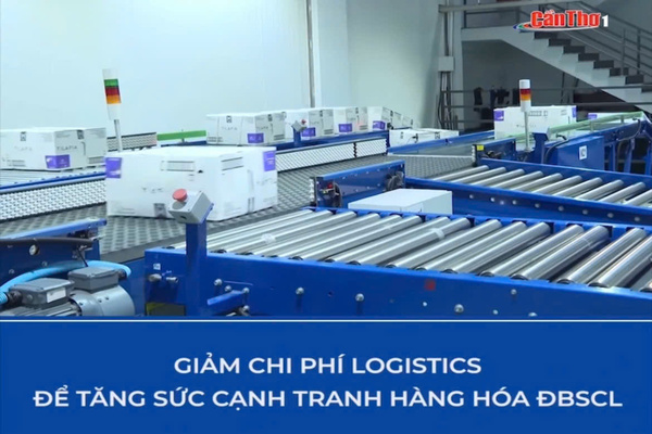 Phát triển logistics vùng ĐBSCL: Vai trò của Hạnh Nguyên Logistics